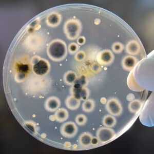 Hvis du har mistanke om et angreb af skjult skimmelsvamp, er det en god idé at tage en skimmelsvamp-lufttest. Skimmelsvamp kan nemlig have gode vækstbetingelser bag paneler, vægge og andre skjulte steder